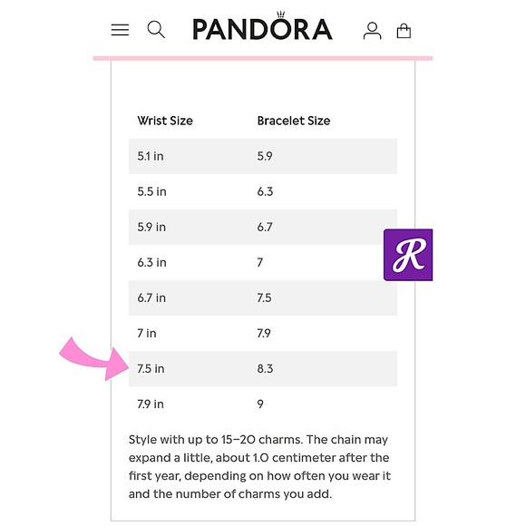 PANDORA ‘Memories Bracelet’ w/ 3 Charms, Size 8.3”L - Picture 8 of 12